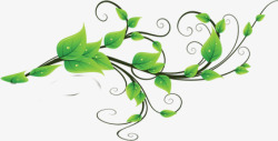 绿色清爽树叶装饰清新素材