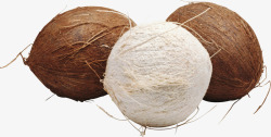 热带水果之椰子素材