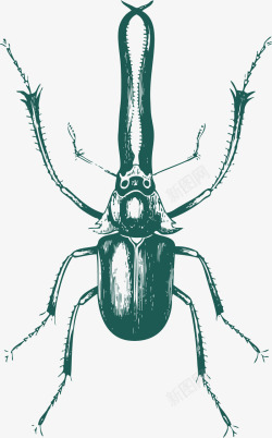 硬壳类长条形硬壳类蓝色昆虫矢量图高清图片