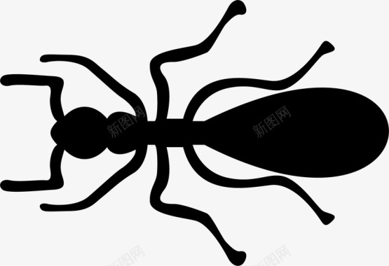 黑色背景蚂蚁剖面矢量图图标图标