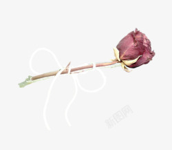 绳子绑上的彩绘玫瑰花素材