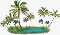 热带雨林椰子树林素材
