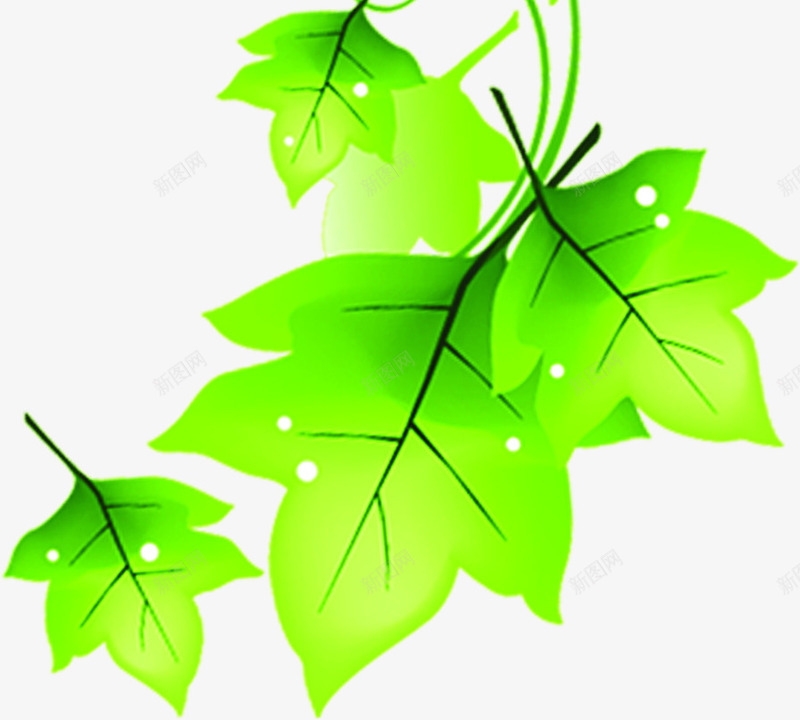 创意合成质感绿色的树叶造型效果png免抠素材_88icon https://88icon.com 创意 合成 效果 树叶 绿色 质感 造型