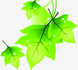 创意合成质感绿色的树叶造型效果素材