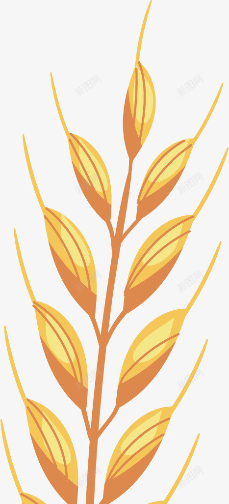 收获的粮食矢量图ai免抠素材_88icon https://88icon.com 丰收 小麦 收获 植物 漂亮 粮食 美丽 食物 矢量图