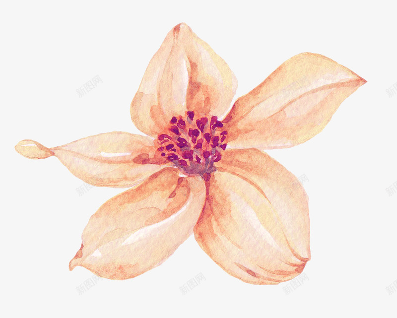 花卉圖4 花卉水彩花边框免费图片- Public Domain Pictures