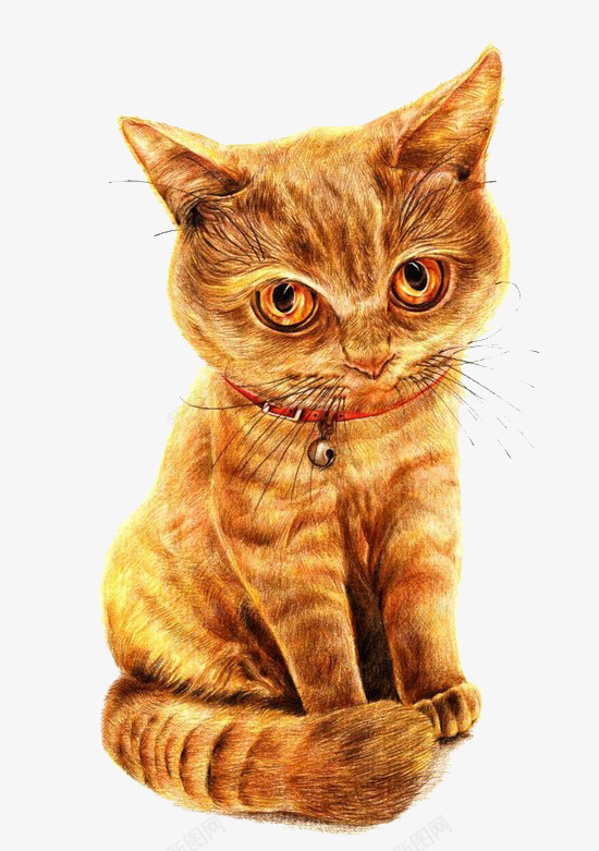 彩铅猫咪png免抠素材_88icon https://88icon.com 写实 彩铅 猫咪 装饰