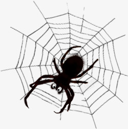 海报合成图合成蜘蛛网高清图片