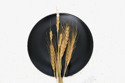 磁盘子黑色盘子小麦高清图片