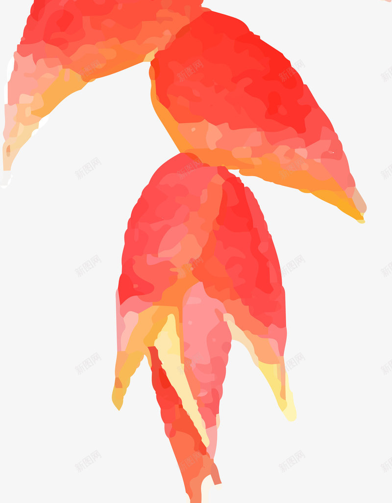 红色装饰花卉png免抠素材_88icon https://88icon.com 水彩手绘 清新 热带植物 红色 花卉 装饰图案