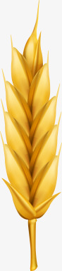 农作物金色麦子图标图标