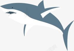 灰色立体凶猛鲨鱼素材