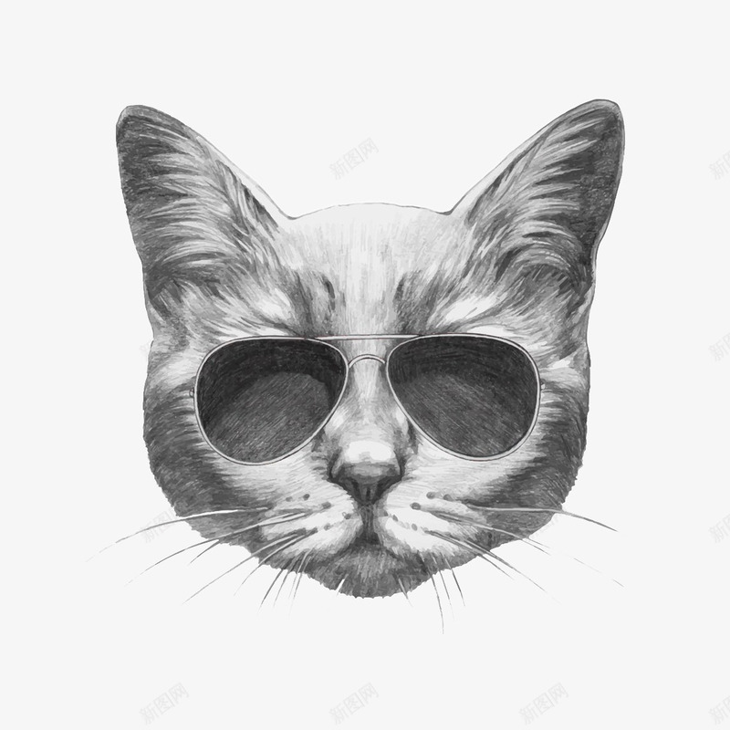 戴眼镜的灰猫png免抠素材_88icon https://88icon.com 卡通 圆猫脸 帅气 戴眼镜的猫 手绘 灰猫 长毛 黑框墨镜