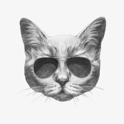 黑框墨镜戴眼镜的灰猫高清图片
