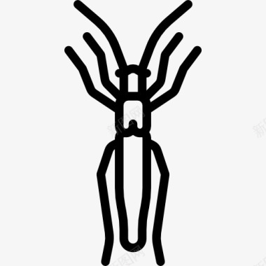 甲虫免扣码头蛀虫图标图标