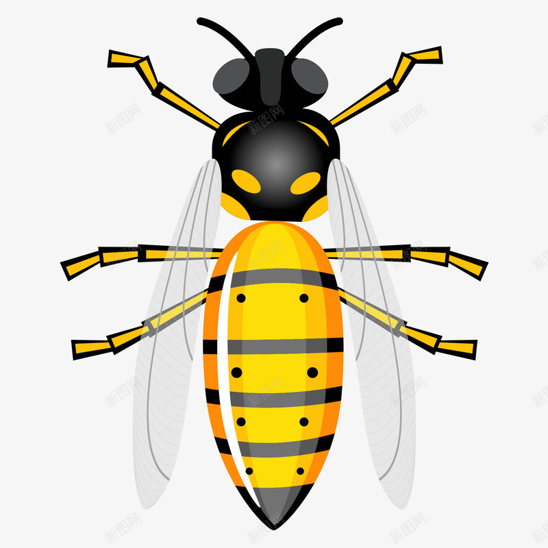 卡通手绘黄色精美蜜蜂png免抠素材_88icon https://88icon.com 卡通的昆虫 手绘的蜜蜂 矢量的蜜蜂 精美的蜜蜂 黄色的蜜蜂