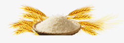 小麦大米元素素材