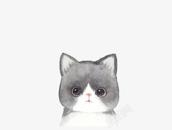 呆萌的猫咪素材