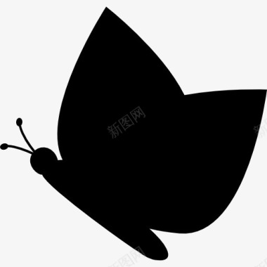 蝴蝶的黑色剪影从侧面图标图标