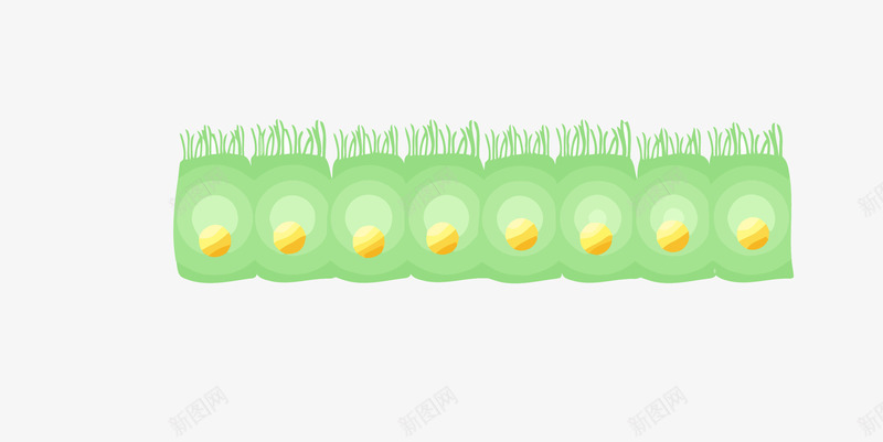 绿色细胞排列png免抠素材_88icon https://88icon.com 喇叭排列 干细胞 细胞 绿色 绿色细胞