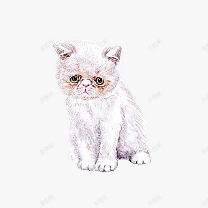 手绘水彩可爱猫咪png免抠素材_88icon https://88icon.com 可爱 宠物 手绘 水彩 猫咪