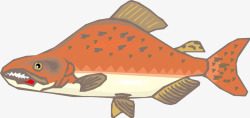 卡通热带鱼红小鱼素材