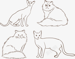安哥拉手绘宠物猫咪矢量图高清图片