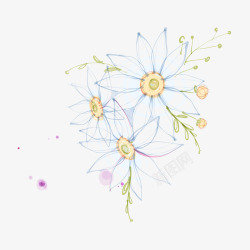 素描喇叭牵牛花高清图片