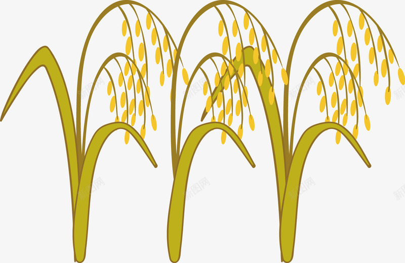 植物小麦矢量图ai免抠素材_88icon https://88icon.com 小麦 植物 食物 矢量图