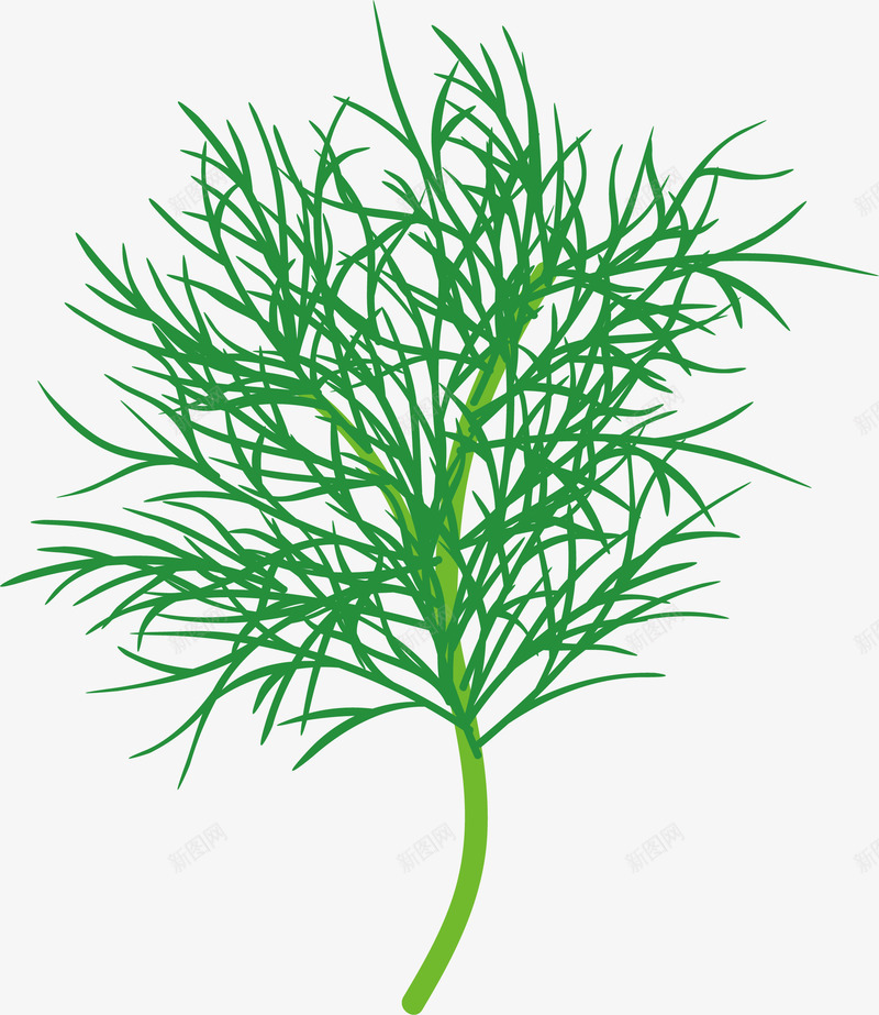 茴香火锅食物香料png免抠素材_88icon https://88icon.com 手绘香料 植物 火锅食物香料 火锅香料 绿色 美食香料 调味香料 辛香料