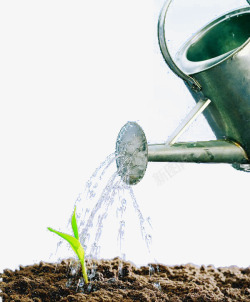 水壶浇灌植物素材