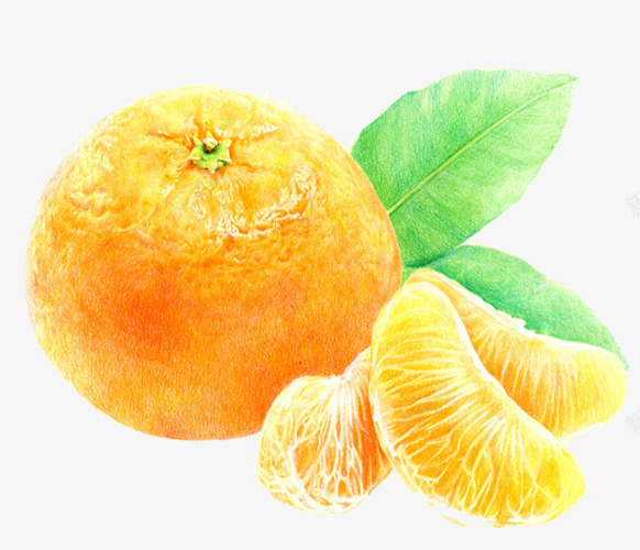 黄色橘子psd免抠素材_88icon https://88icon.com 叶子 橘子 橘瓣 水果 黄色