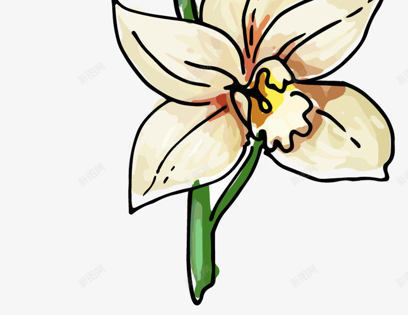 卡通喇叭花png免抠素材_88icon https://88icon.com png 卡通 喇叭花 植物 花朵