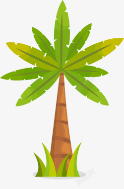 卡通热带植物棕榈树图素材