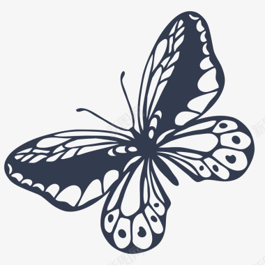 黑色背景手绘的蝴蝶图标图标