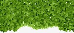 绿色清爽春天树叶素材