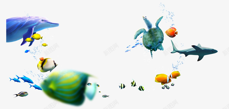 海洋生物png免抠素材_88icon https://88icon.com 夏日 海洋生物 清爽