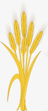 下麦手绘谷物麦子图矢量图图标图标