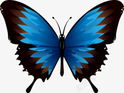 卡通蓝色飞舞的蝴蝶图素材