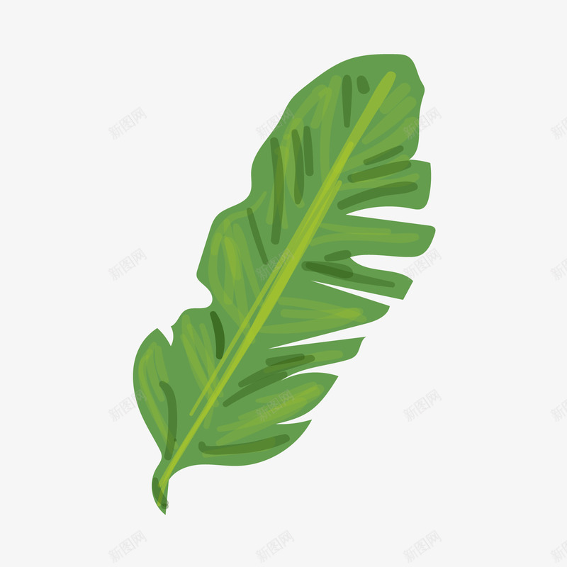 绿色植物装饰元素png免抠素材_88icon https://88icon.com 手绘植物 绿色植物 芭蕉叶 芭蕉树