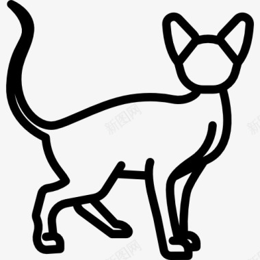动物斯芬克斯猫图标图标