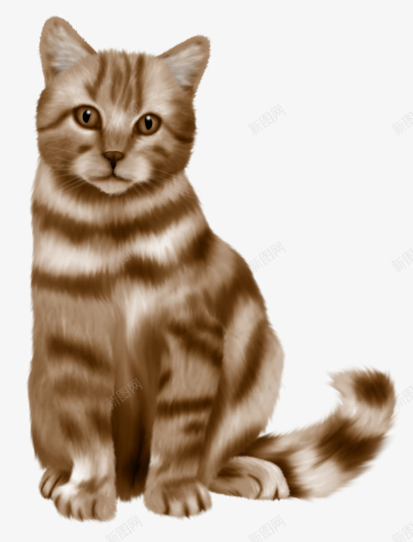 张望的猫咪png免抠素材_88icon https://88icon.com 动物 卡通 宠物 猫咪