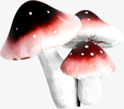 彩色春天蘑菇造型素材