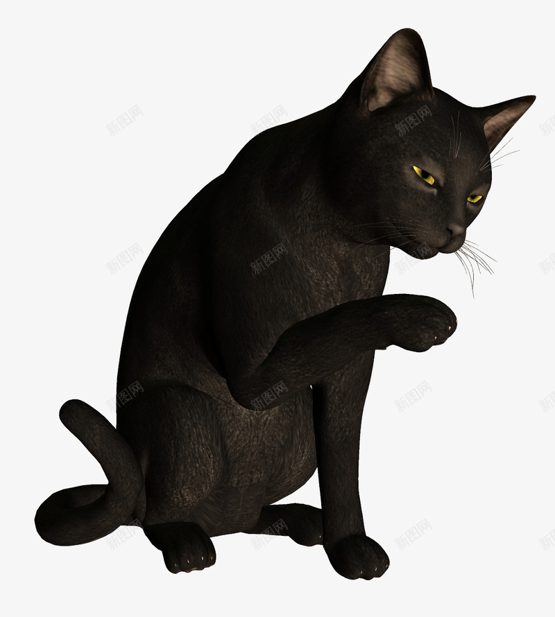 黑猫png免抠素材_88icon https://88icon.com 动物 流浪猫 猫 猫咪 黑猫