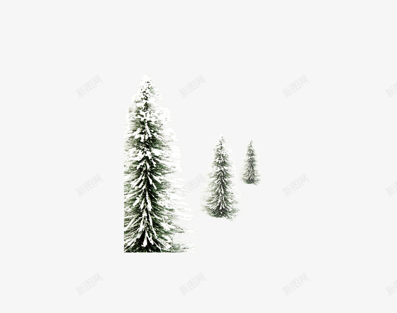 三棵雪地里的松树png免抠素材_88icon https://88icon.com 三棵 冬季 松树 雪地