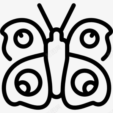 昆虫设计孔雀蝴蝶图标图标