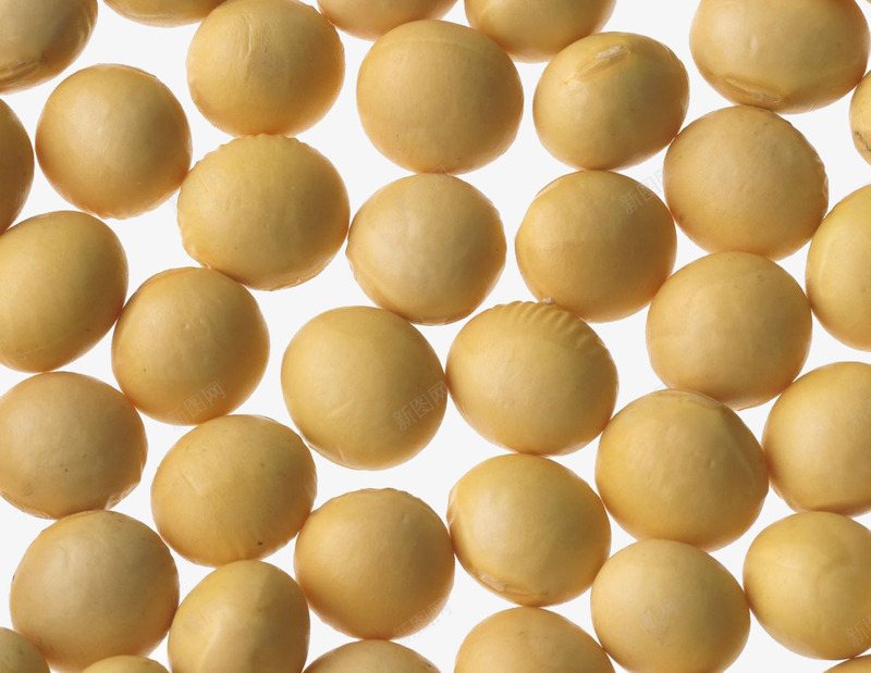 黄豆背景png免抠素材_88icon https://88icon.com 实物 小黄豆 杂粮 谷物 黄豆 黄豆特写 黄豆背景 黄豆背景PNG图片