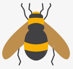 蜜蜂卡通昆虫标本素材