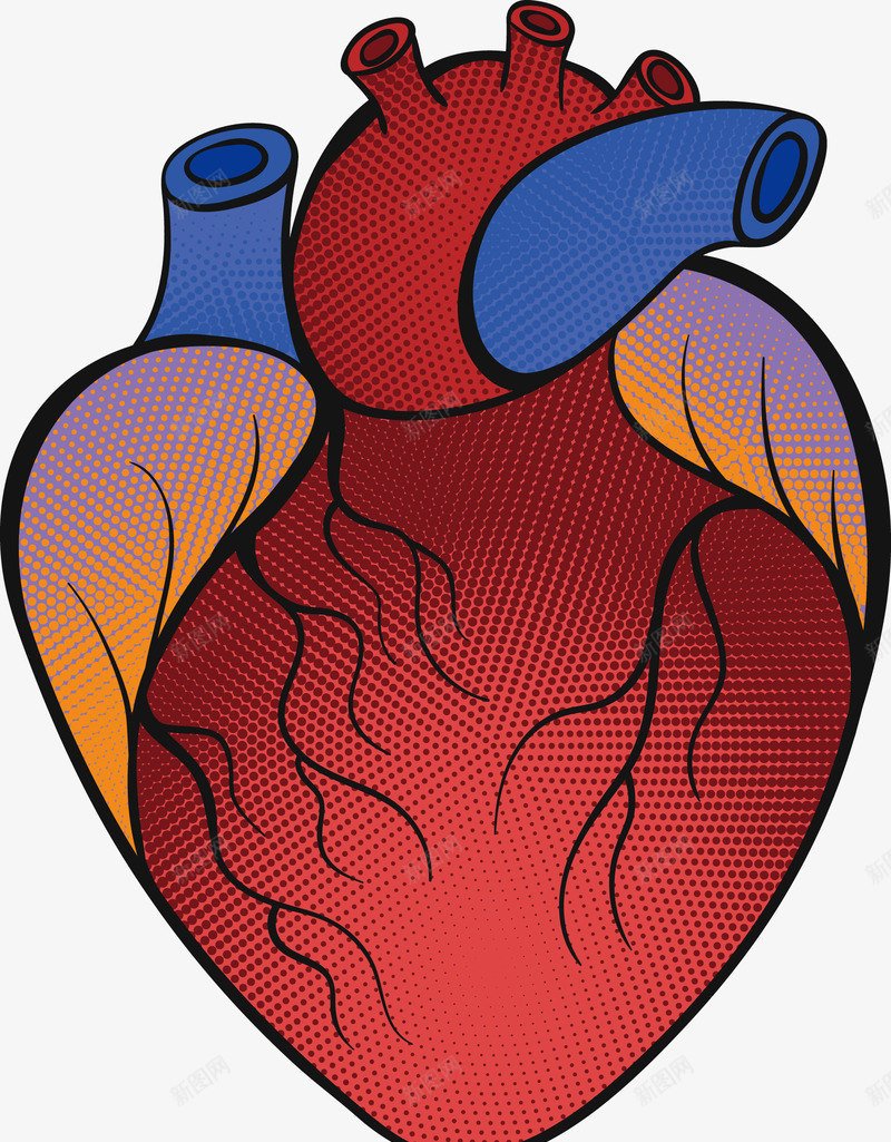 红色的心脏和蓝色的心管矢量图eps免抠素材_88icon https://88icon.com 心管 心脏 红心 红心png 红心矢量图 矢量图