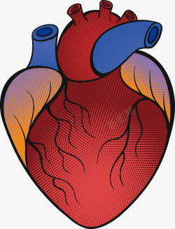 红色的心脏和蓝色的心管矢量图素材
